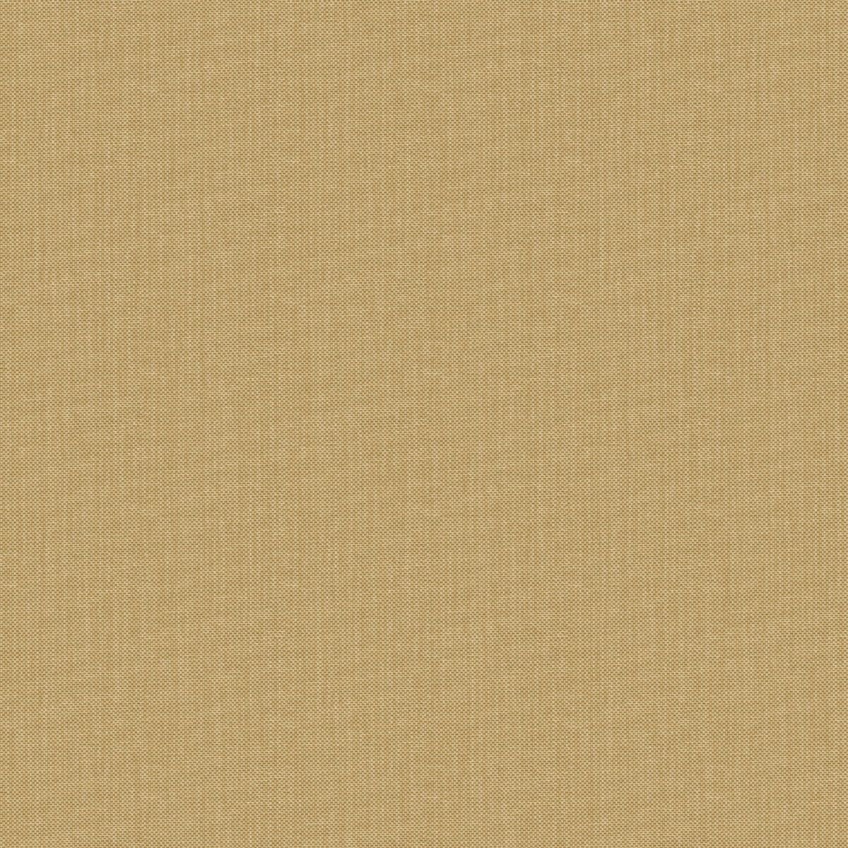Natte 2 — Camel