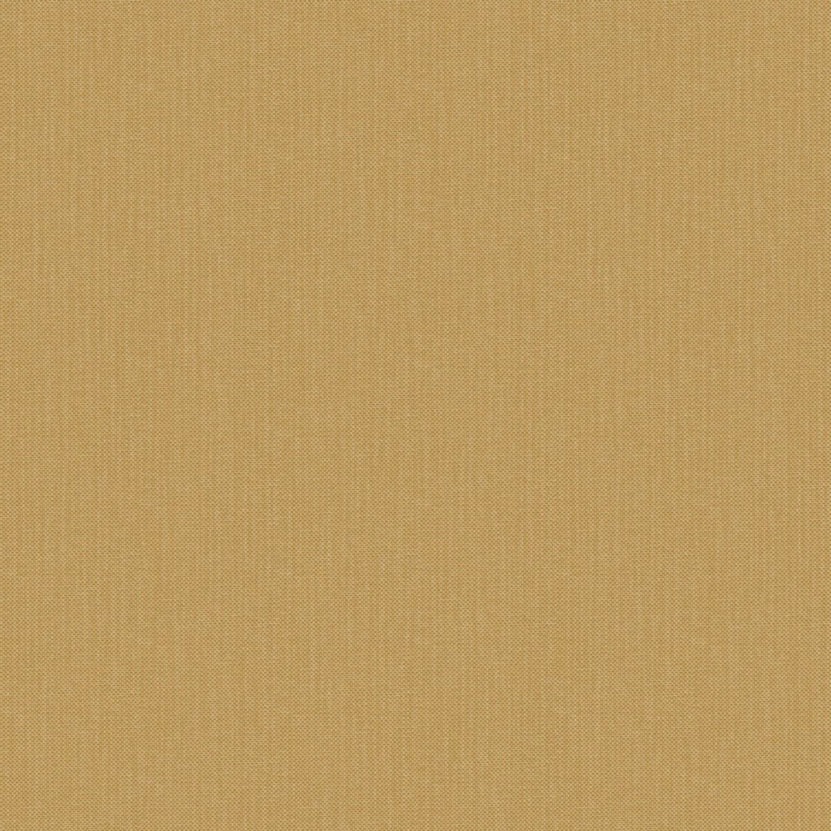 Natte 2 — Camel