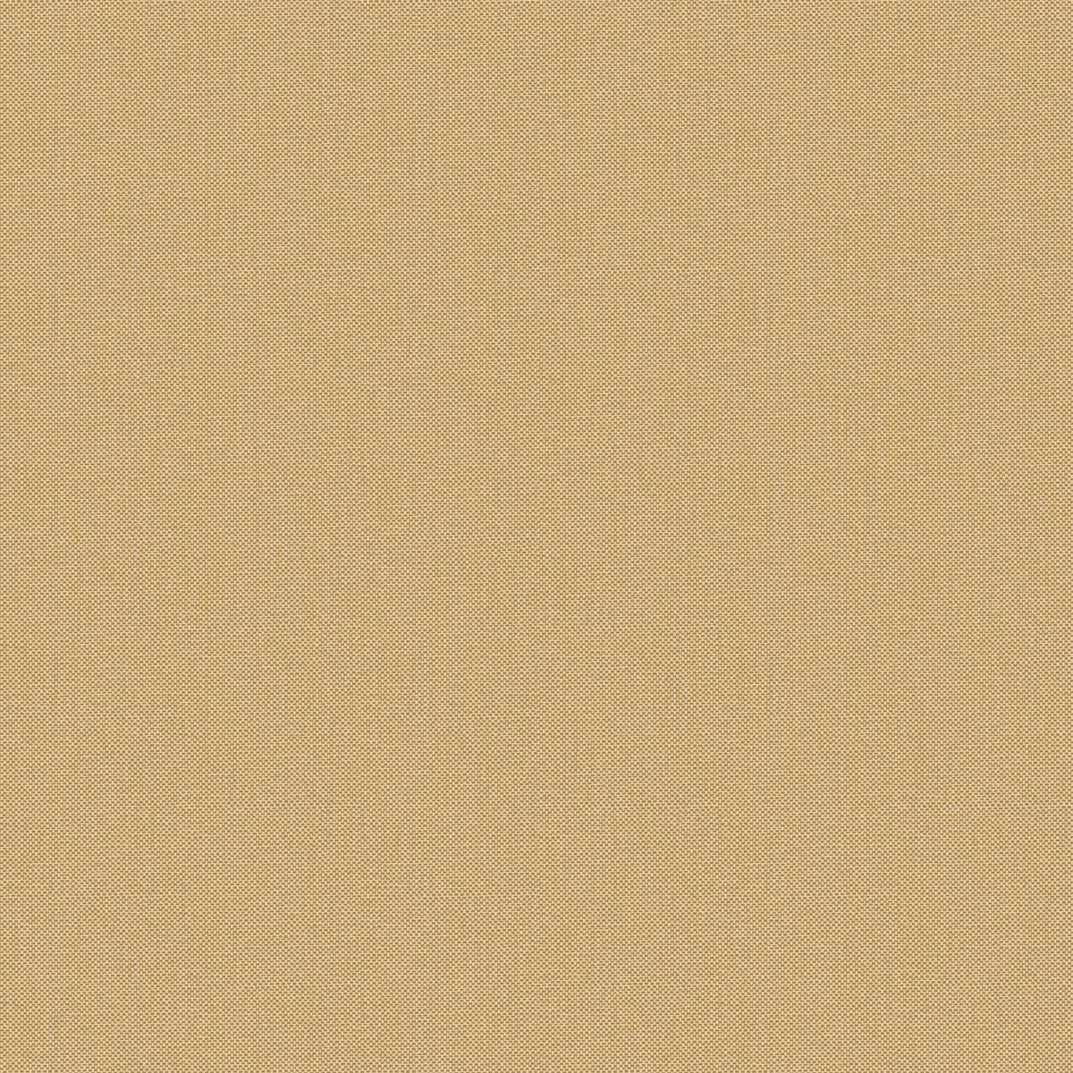 Natte 2 — Camel