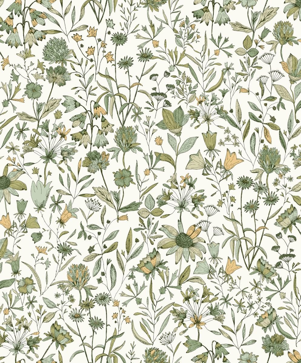 Art Of Botany — Oatmeal