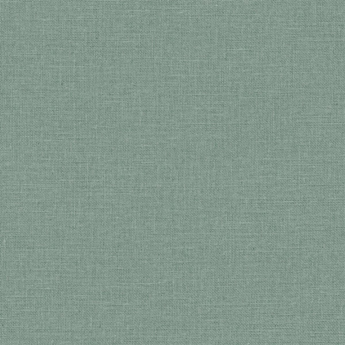 Jute — Eucalyptus