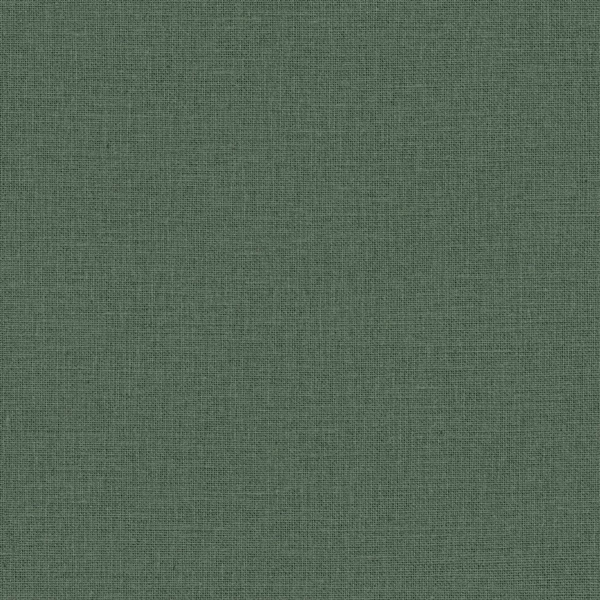 Jute — Forest