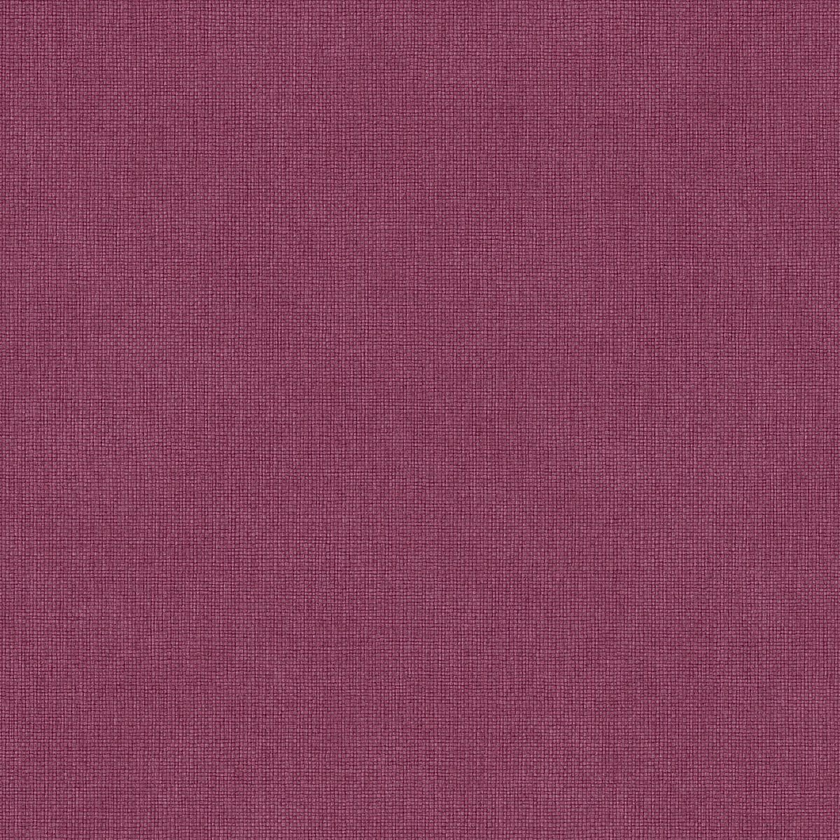 Damier — Plum