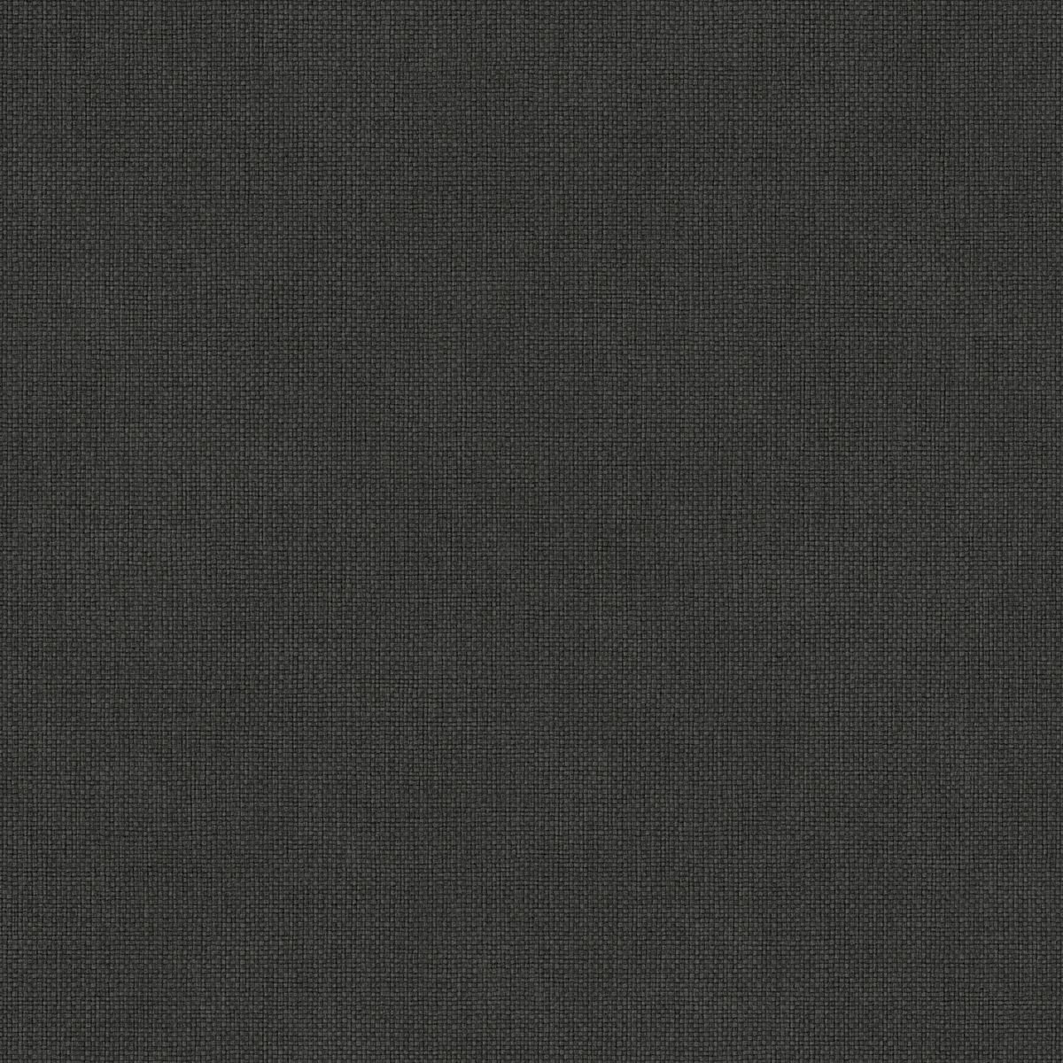 Damier — Charcoal