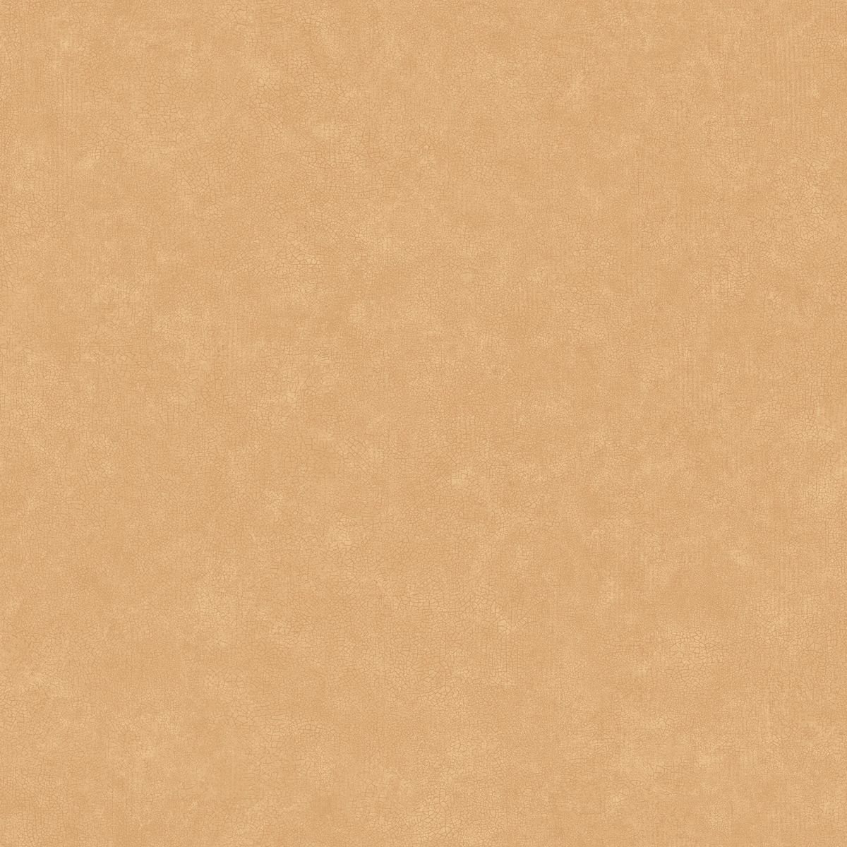 Ceramique — Camel