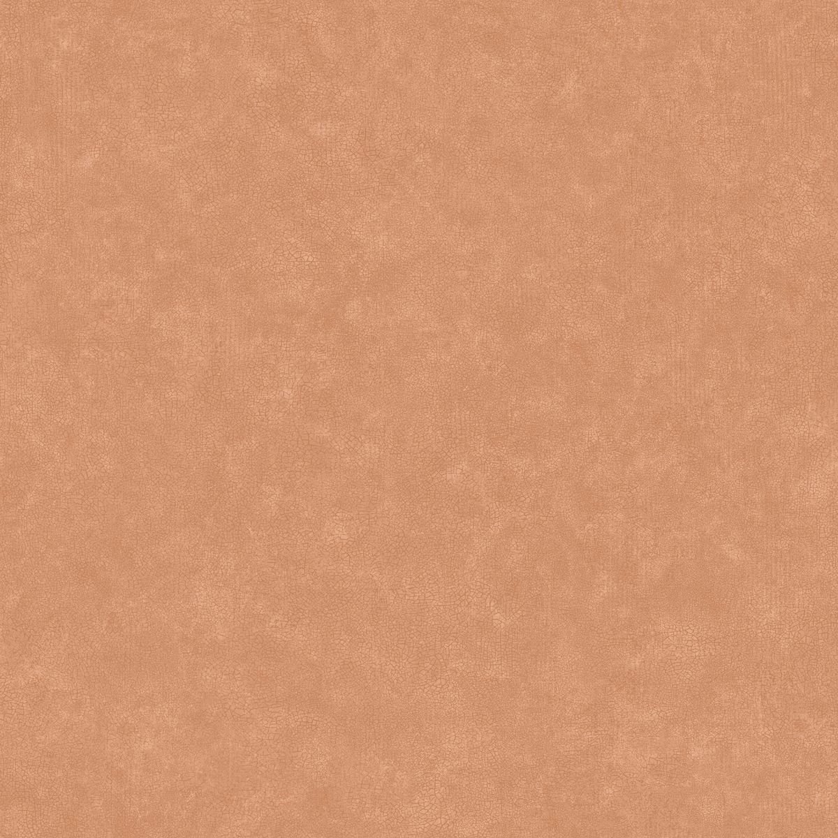 Ceramique — Camel
