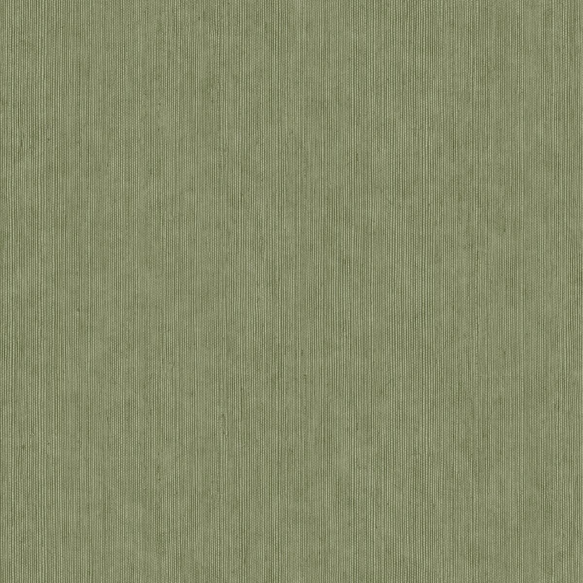 Matieres — Olive