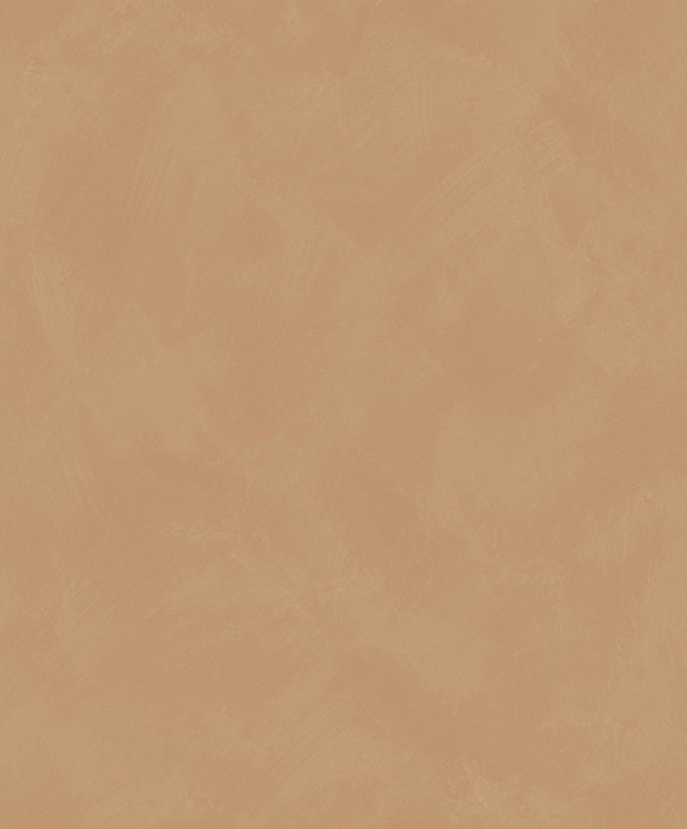 Origine — Camel