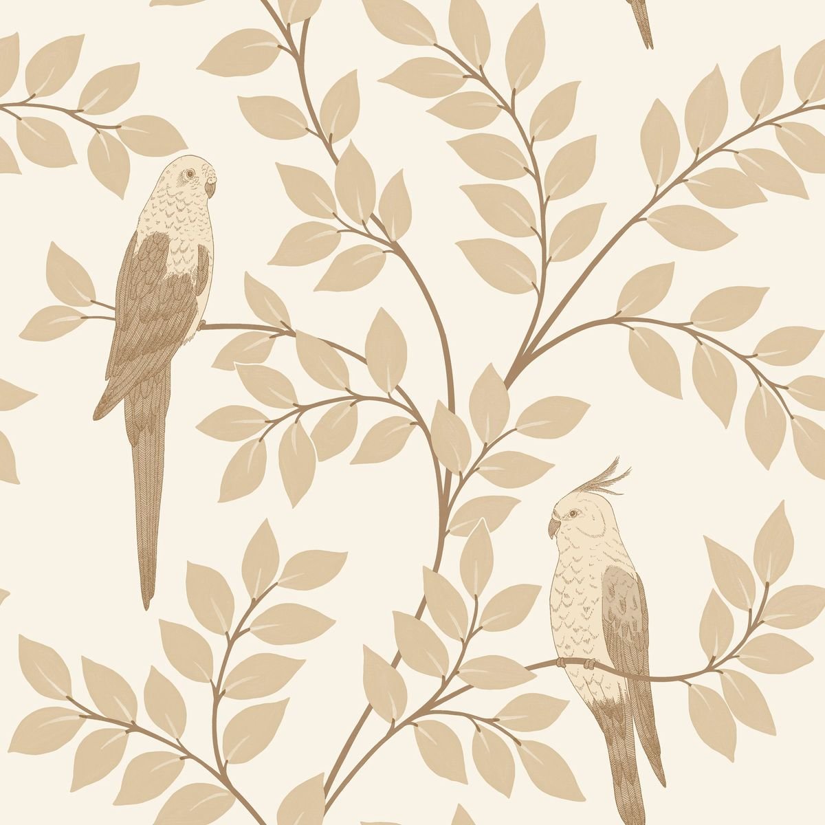 Borneo — Oatmeal