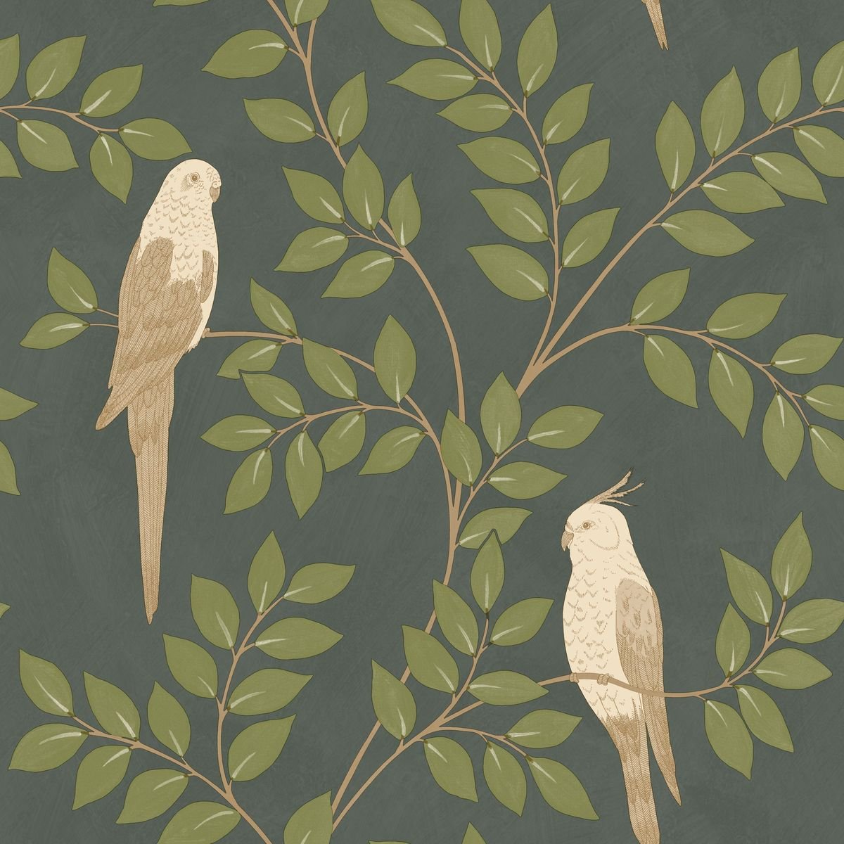 Borneo — Olive