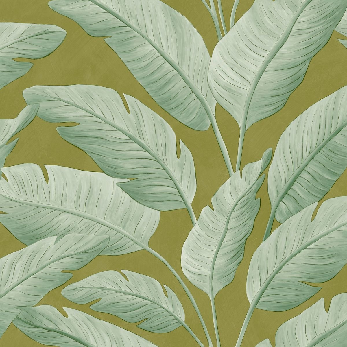 Borneo — Sage