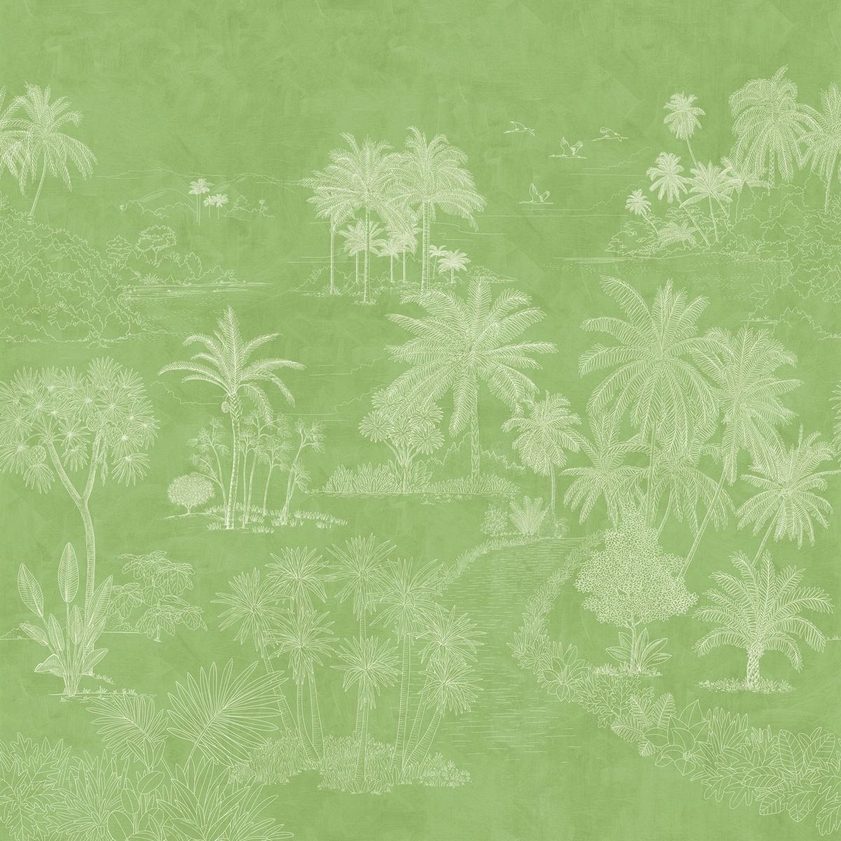 Borneo — Sage