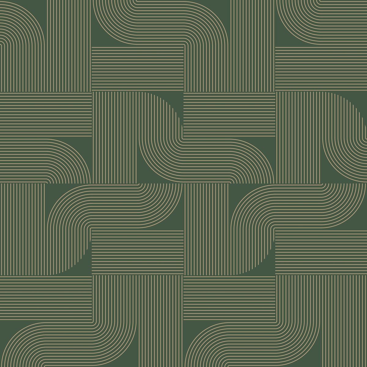 Light — Forest