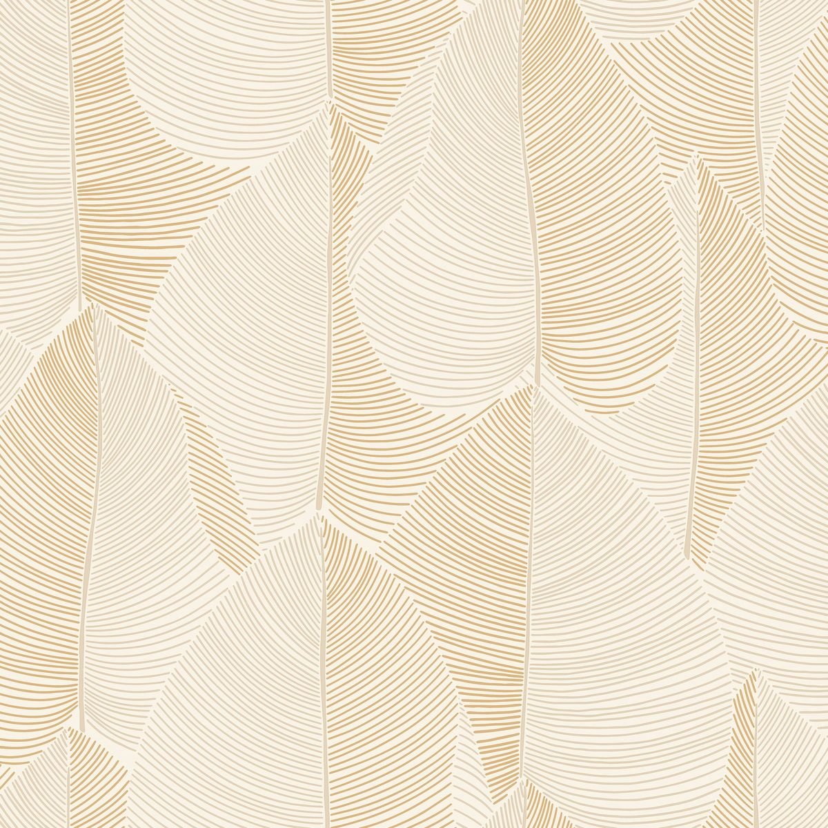 Light — Cream