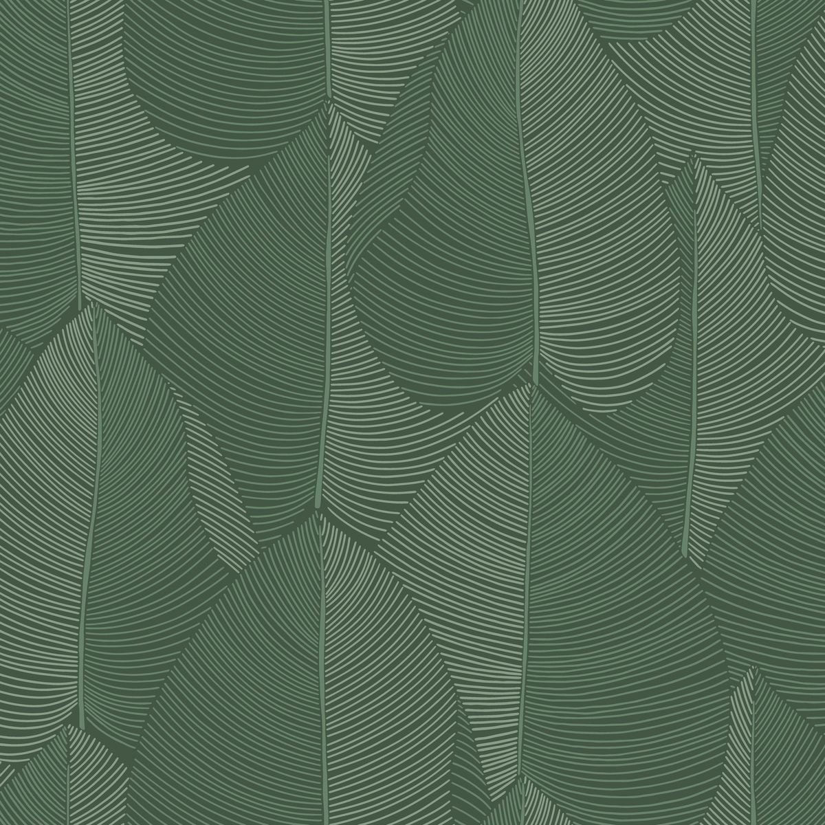 Light — Forest