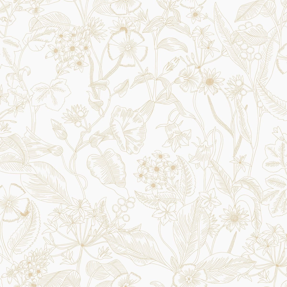 Light — White