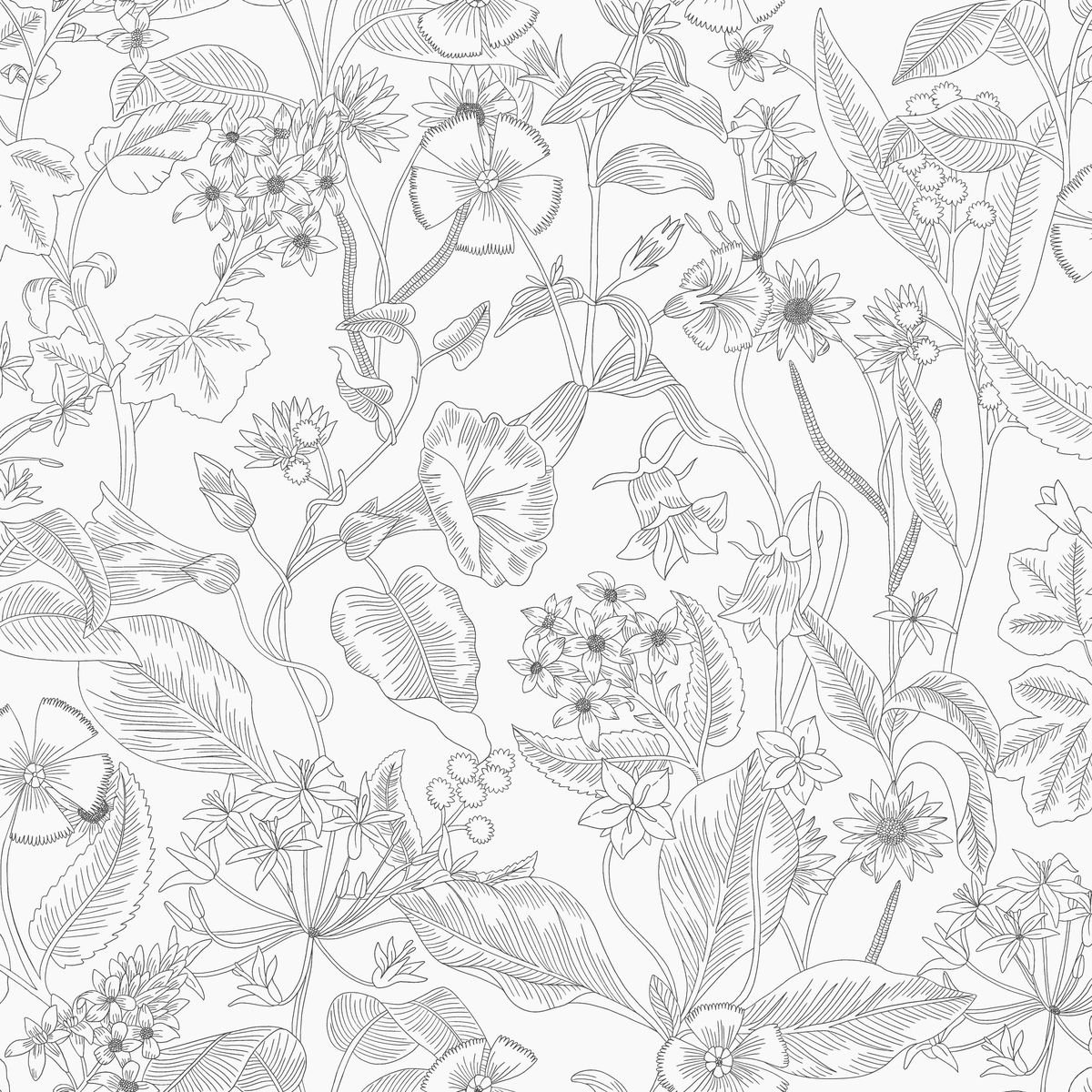 Light — White