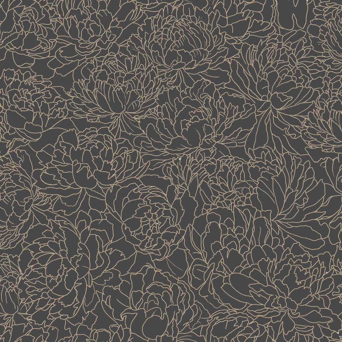 Light — Graphite