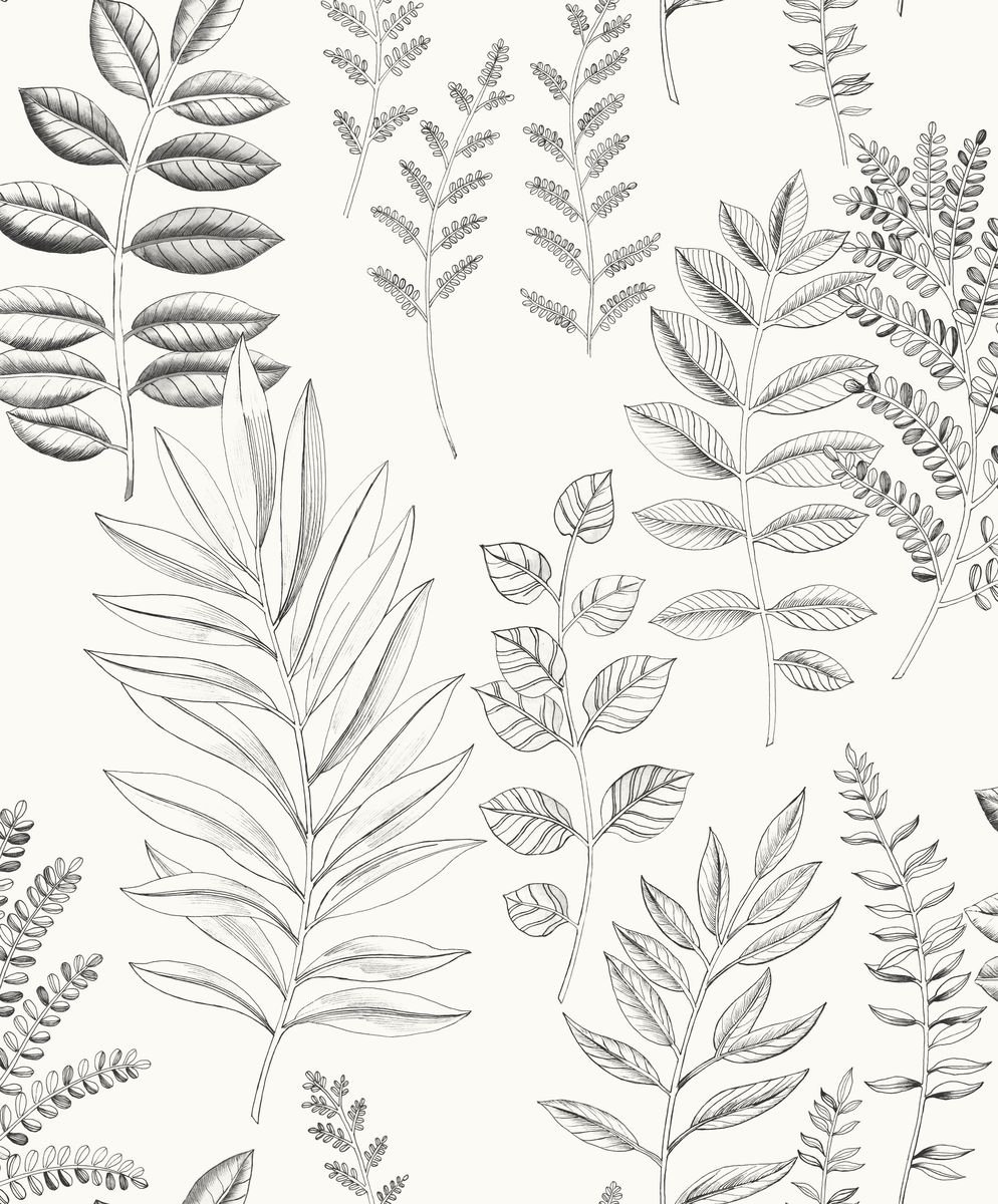 Art Of Botany — Ivory