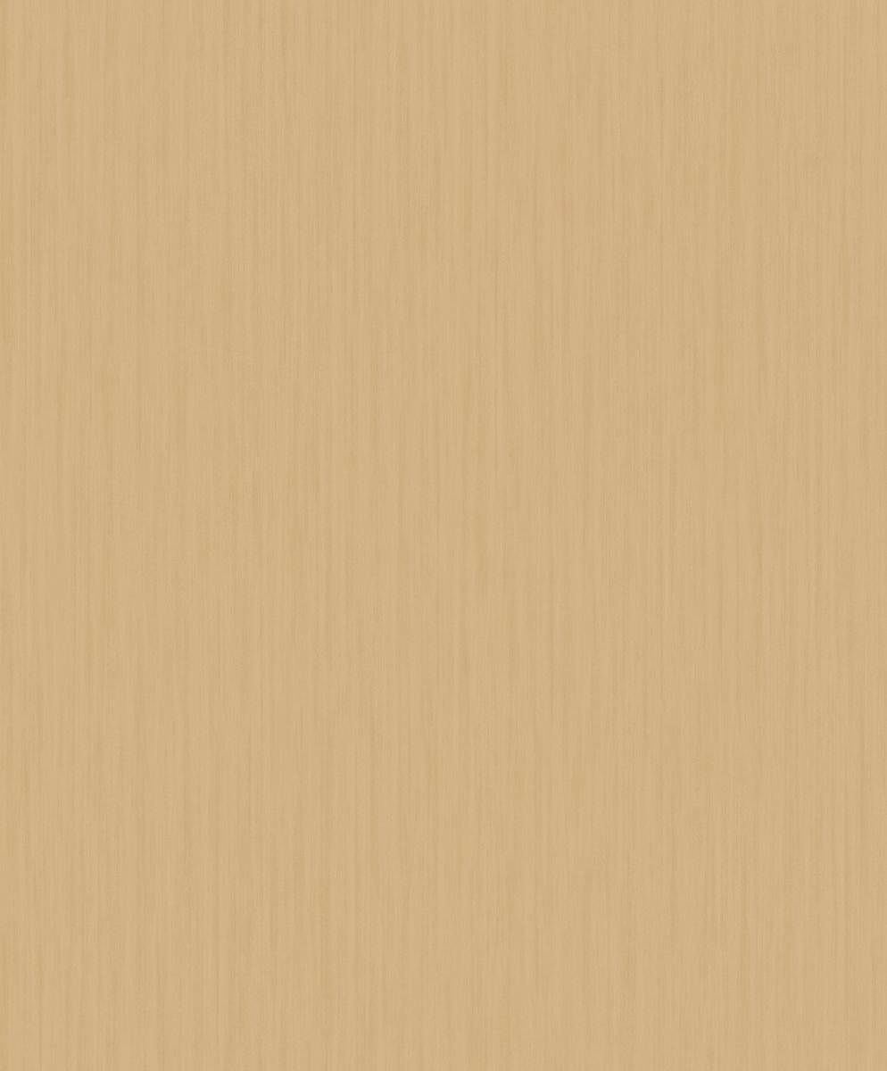 Woodline — Camel